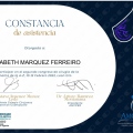 Ampliar imagen: certificate 9