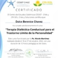 Ampliar imagen: certificate 10