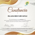 Ampliar imagen: certificate 4