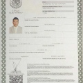 Ampliar imagen: certificate 2