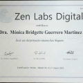 Ampliar imagen: certificate 7