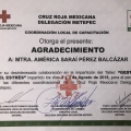 Ampliar imagen: certificate 18