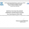 Ampliar imagen: certificate 5