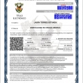 Ampliar imagen: certificate 1