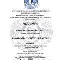 Ampliar imagen: certificate 4