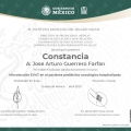 Ampliar imagen: certificate 8
