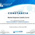 Ampliar imagen: certificate 1