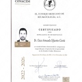 Ampliar imagen: certificate 2