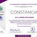 Ampliar imagen: certificate 5