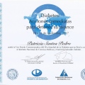 Ampliar imagen: certificate 4