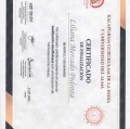 Ampliar imagen: certificate 11