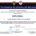 Ampliar imagen: certificate 4