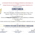 Ampliar imagen: certificate 5
