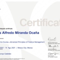 Ampliar imagen: certificate 7