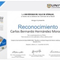 Ampliar imagen: certificate 3
