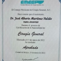 Ampliar imagen: certificate 3
