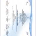 Ampliar imagen: certificate 5