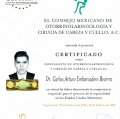 Ampliar imagen: certificate 3