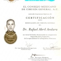 Ampliar imagen: certificate 5