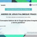 Ampliar imagen: certificate 8