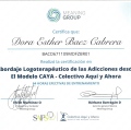 Ampliar imagen: certificate 2