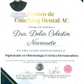 Ampliar imagen: certificate 3