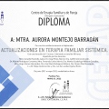 Ampliar imagen: certificate 6