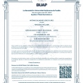 Ampliar imagen: certificate 4