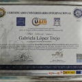 Ampliar imagen: certificate 6