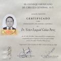 Ampliar imagen: certificate 1