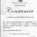 Ampliar imagen: certificate 4