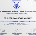 Ampliar imagen: certificate 13