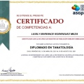 Ampliar imagen: certificate 4