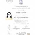 Ampliar imagen: certificate 3