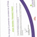 Ampliar imagen: certificate 5