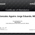 Ampliar imagen: certificate 3