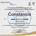 Ampliar imagen: certificate 8