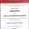 Ampliar imagen: certificate 7