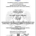 Ampliar imagen: certificate 7
