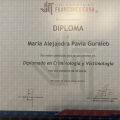 Ampliar imagen: certificate 4