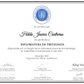 Ampliar imagen: certificate 2
