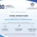 Ampliar imagen: certificate 10