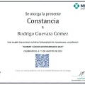 Ampliar imagen: certificate 7