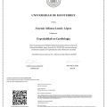 Ampliar imagen: certificate 3