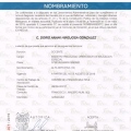 Ampliar imagen: certificate 11