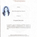 Ampliar imagen: certificate 4