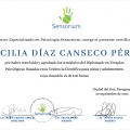 Ampliar imagen: certificate 4