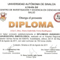 Ampliar imagen: certificate 6
