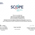 Ampliar imagen: certificate 4