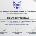 Ampliar imagen: certificate 12